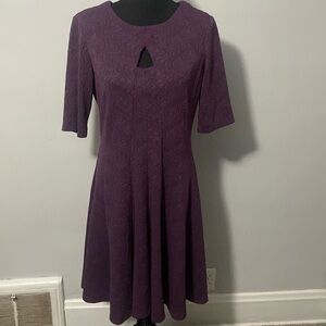 Danny & Nicole Dress Plum Eggplant Color Vertical Seams No Waist Seam 14